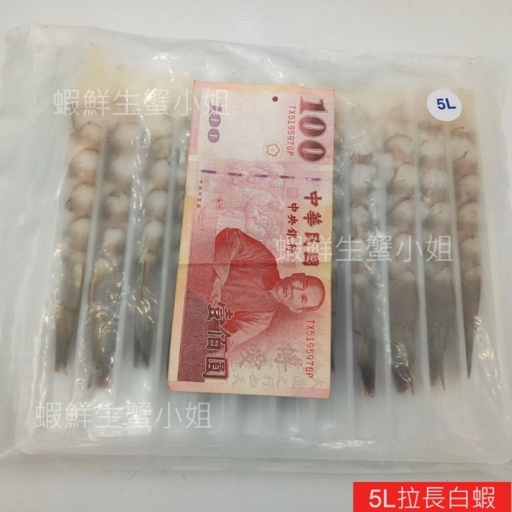 【蝦鮮生蟹小姐】拉長白蝦  5L/6L  12尾裝 * 能讓炸蝦外酥內軟，口感較多層-細節圖2