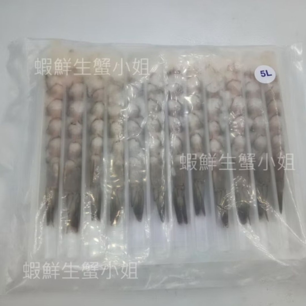 【蝦鮮生蟹小姐】拉長白蝦  5L/6L  12尾裝 * 能讓炸蝦外酥內軟，口感較多層-規格圖5