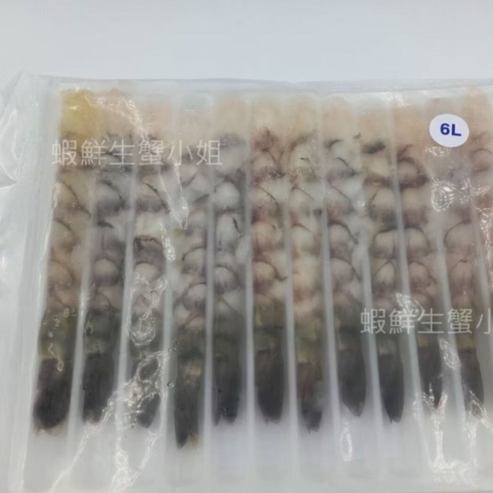 【蝦鮮生蟹小姐】拉長白蝦  5L/6L  12尾裝 * 能讓炸蝦外酥內軟，口感較多層-規格圖5
