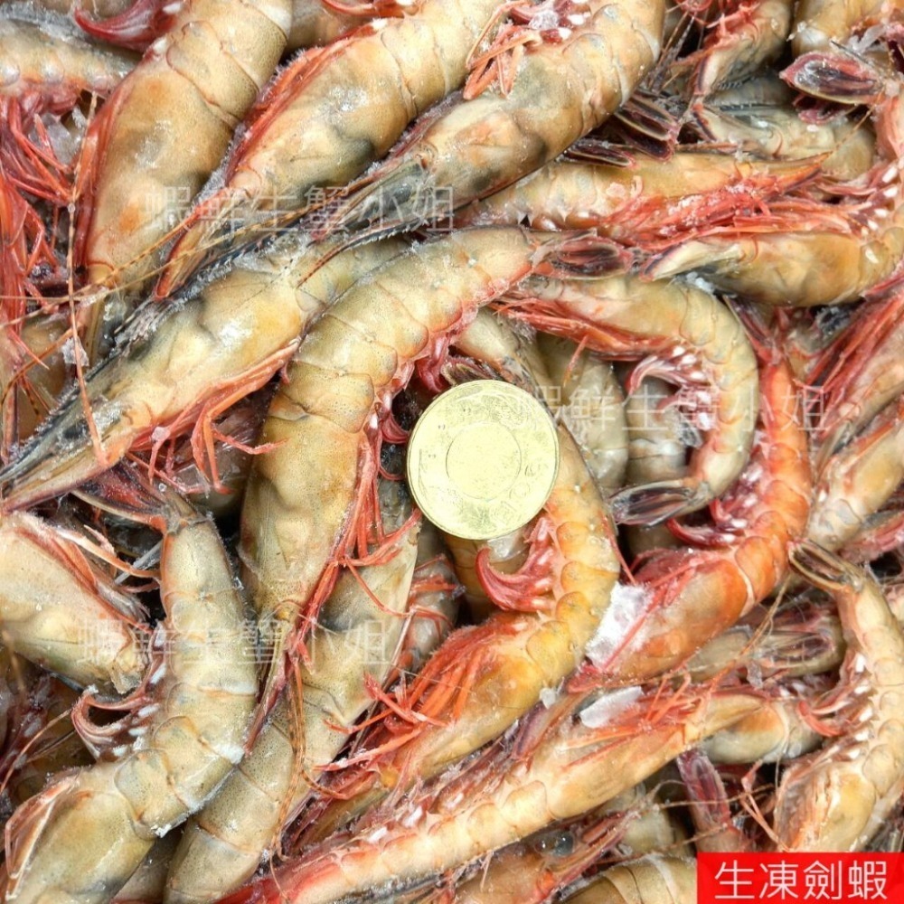【蝦鮮生蟹小姐】劍蝦(生)   4K/盒   ✨經過熱炒，蝦殼香氣四溢哦 **單盒2400元**-細節圖2