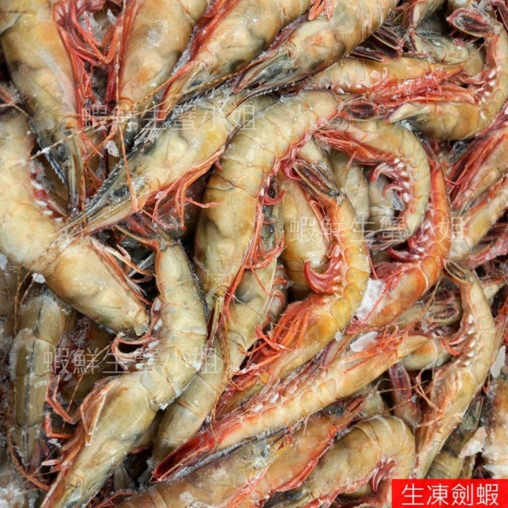 【蝦鮮生蟹小姐】劍蝦(生)   4K/盒   ✨經過熱炒，蝦殼香氣四溢哦 **單盒2400元**-細節圖5