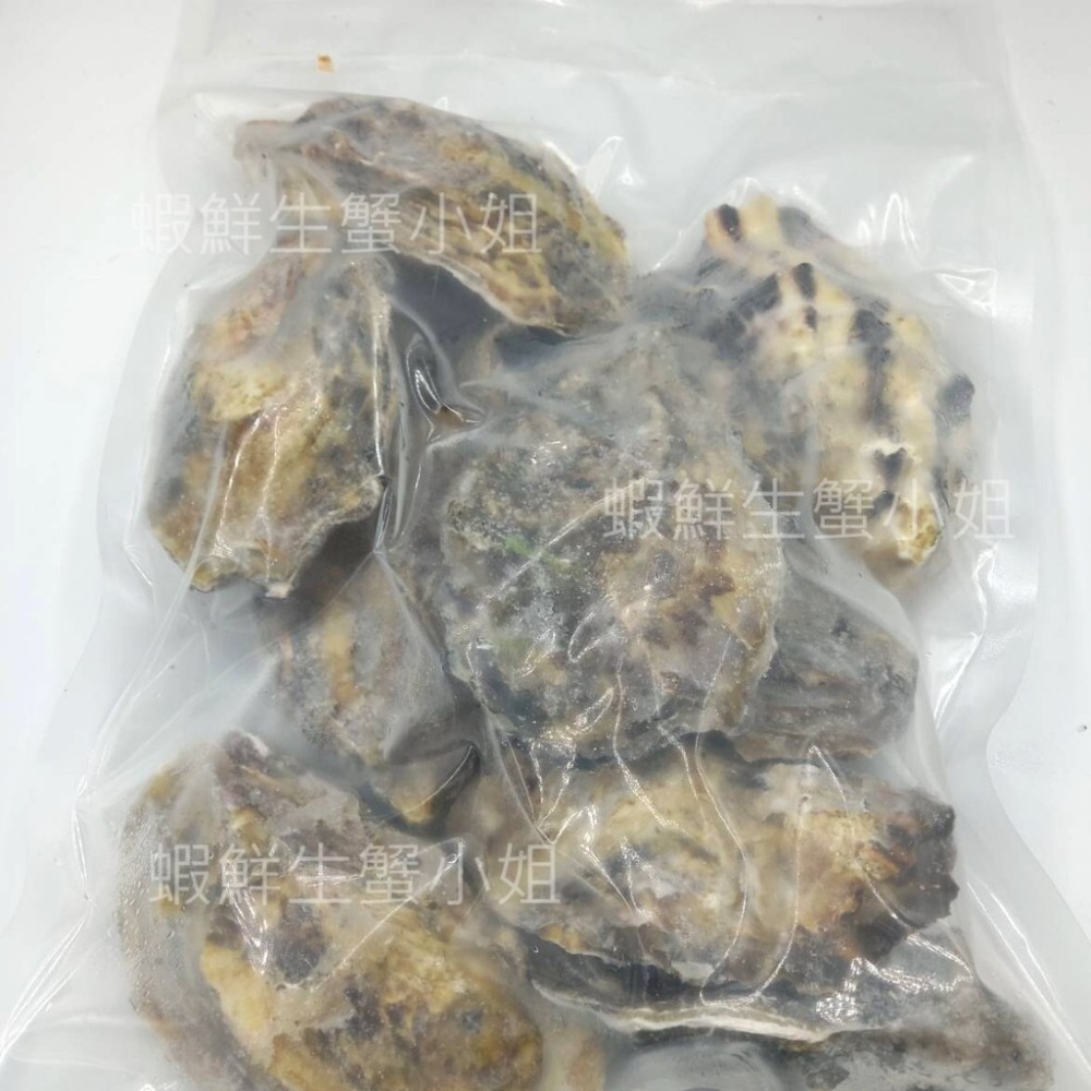 【蝦鮮生蟹小姐】全殼生蠔  80-110g 一包11粒裝   *生食級日本生蠔，鮮度肥度破表!!   **每包430元*-細節圖5
