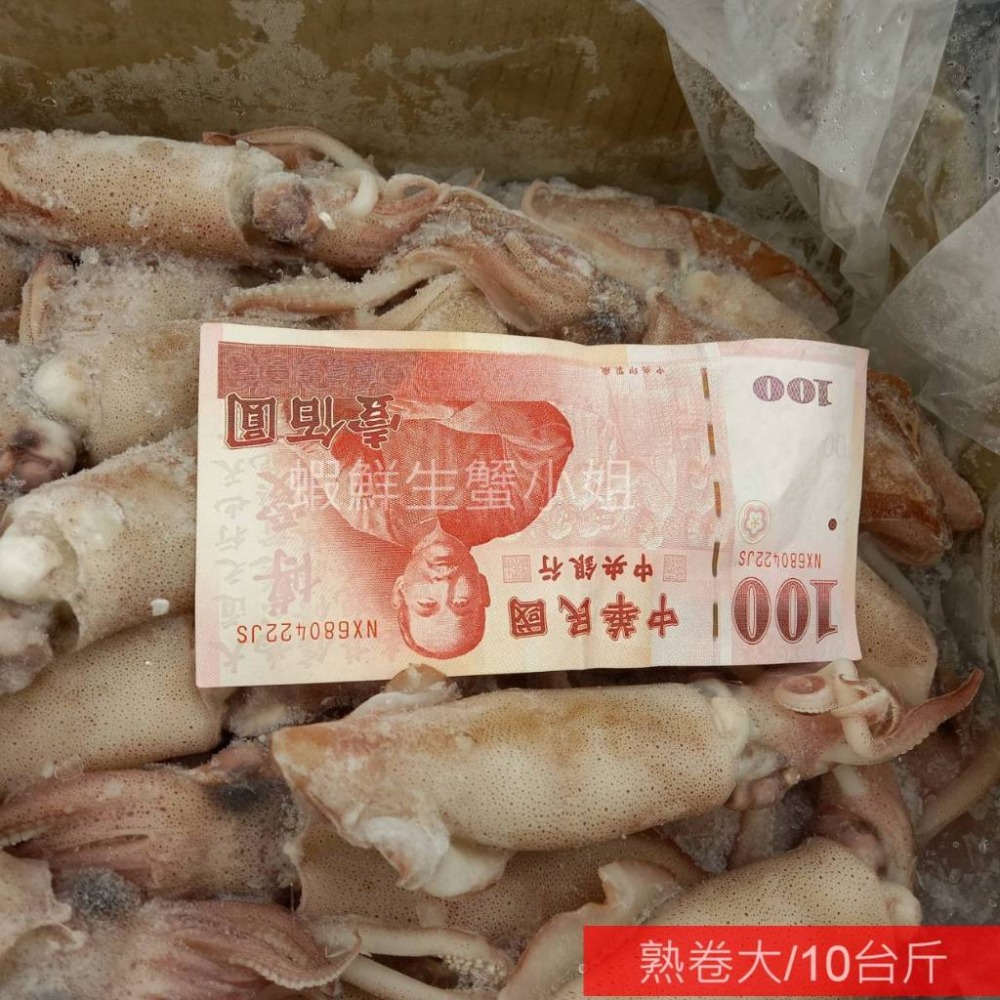 【蝦鮮生蟹小姐】熟卷-大 一箱6公斤裝(10台斤) *新鮮上岸，Q彈又鮮甜 **每箱2500元**-細節圖3