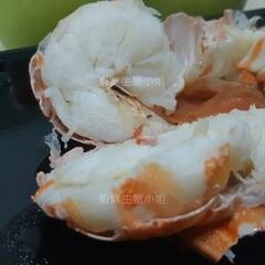 【蝦鮮生蟹小姐】生凍龍蝦  200-250克/隻 🚩殼薄肉多的龍蝦，美味極佳！  **每隻310元**-細節圖3