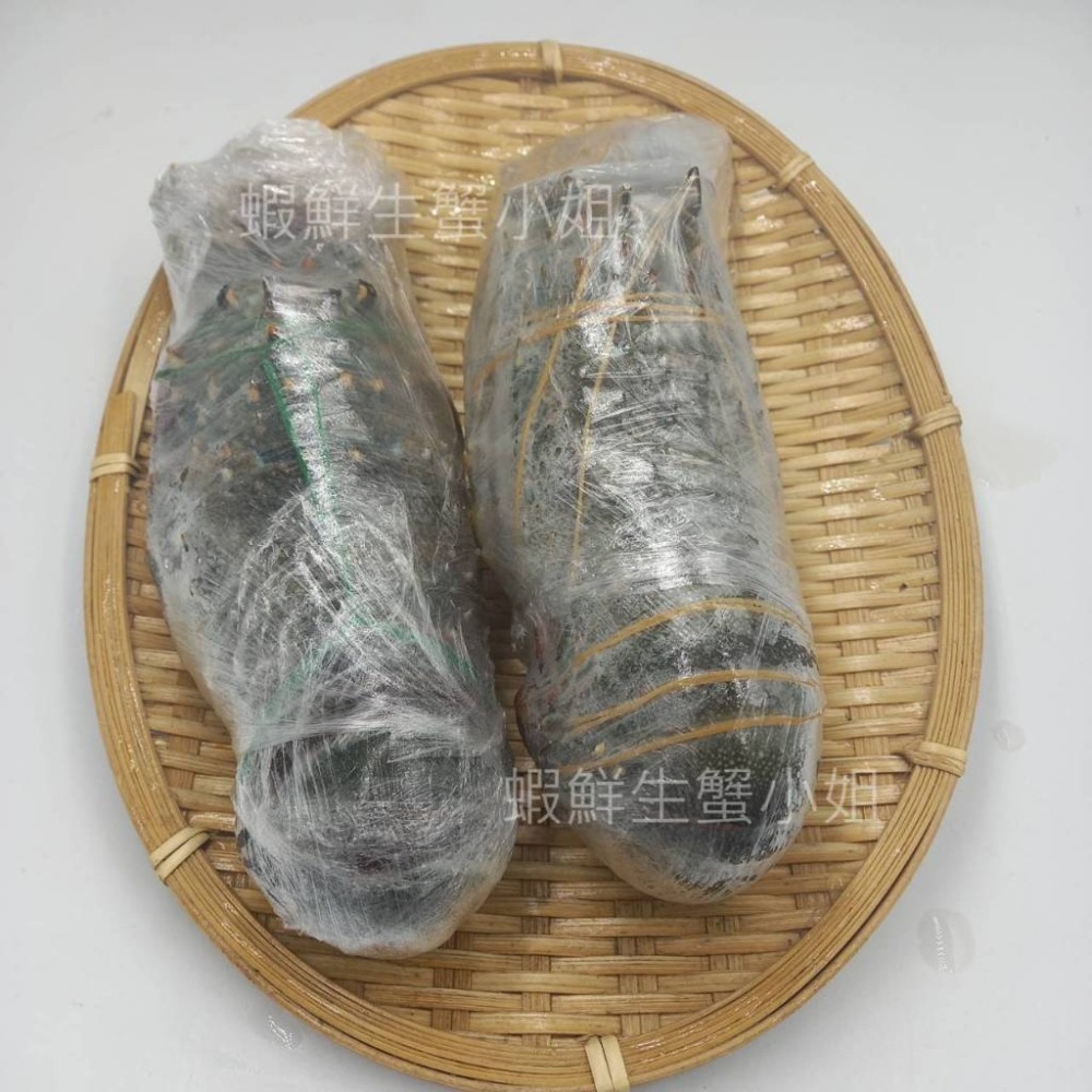【蝦鮮生蟹小姐】生凍龍蝦  200-250克/隻 🚩殼薄肉多的龍蝦，美味極佳！  **每隻310元**-細節圖4