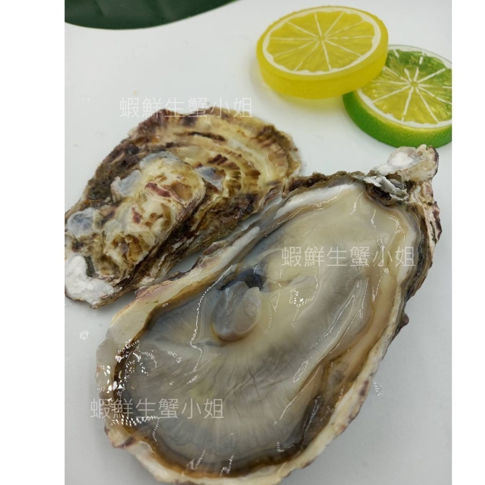 【蝦鮮生蟹小姐】全殼生蠔  80-100g 一包11粒裝   ★純淨無汙染海域生長,鮮度肥度破表!   *每包340元*-細節圖2