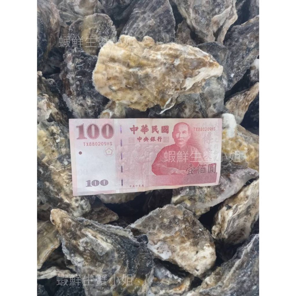 【蝦鮮生蟹小姐】全殼生蠔  80-100g 一包11粒裝   ★純淨無汙染海域生長,鮮度肥度破表!   *每包340元*-細節圖3