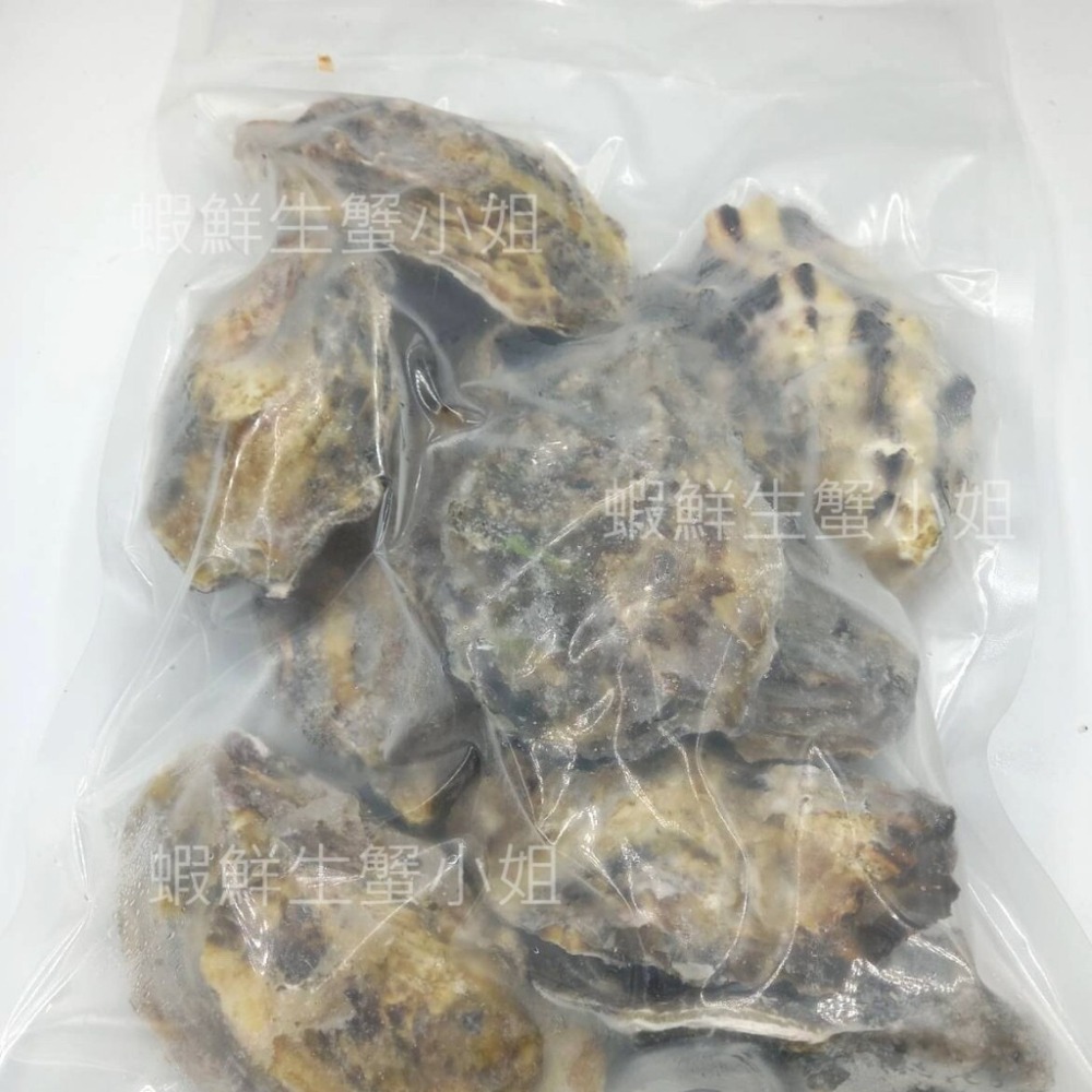 【蝦鮮生蟹小姐】全殼生蠔  80-100g 一包11粒裝   ★純淨無汙染海域生長,鮮度肥度破表!   *每包340元*-細節圖4