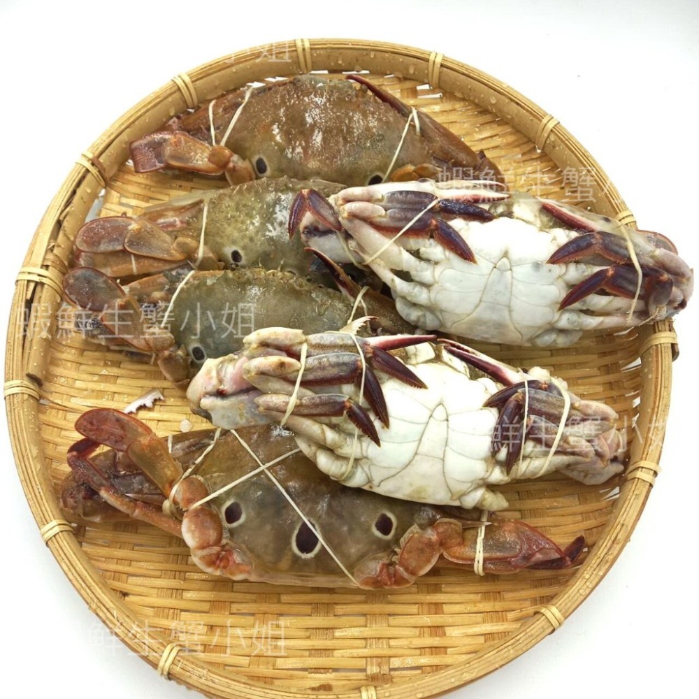 【蝦鮮生蟹小姐】三點蟹(公) 一包6隻 每隻150-200克 *隻隻飽滿,平價又美味。 **每包280元**-細節圖2