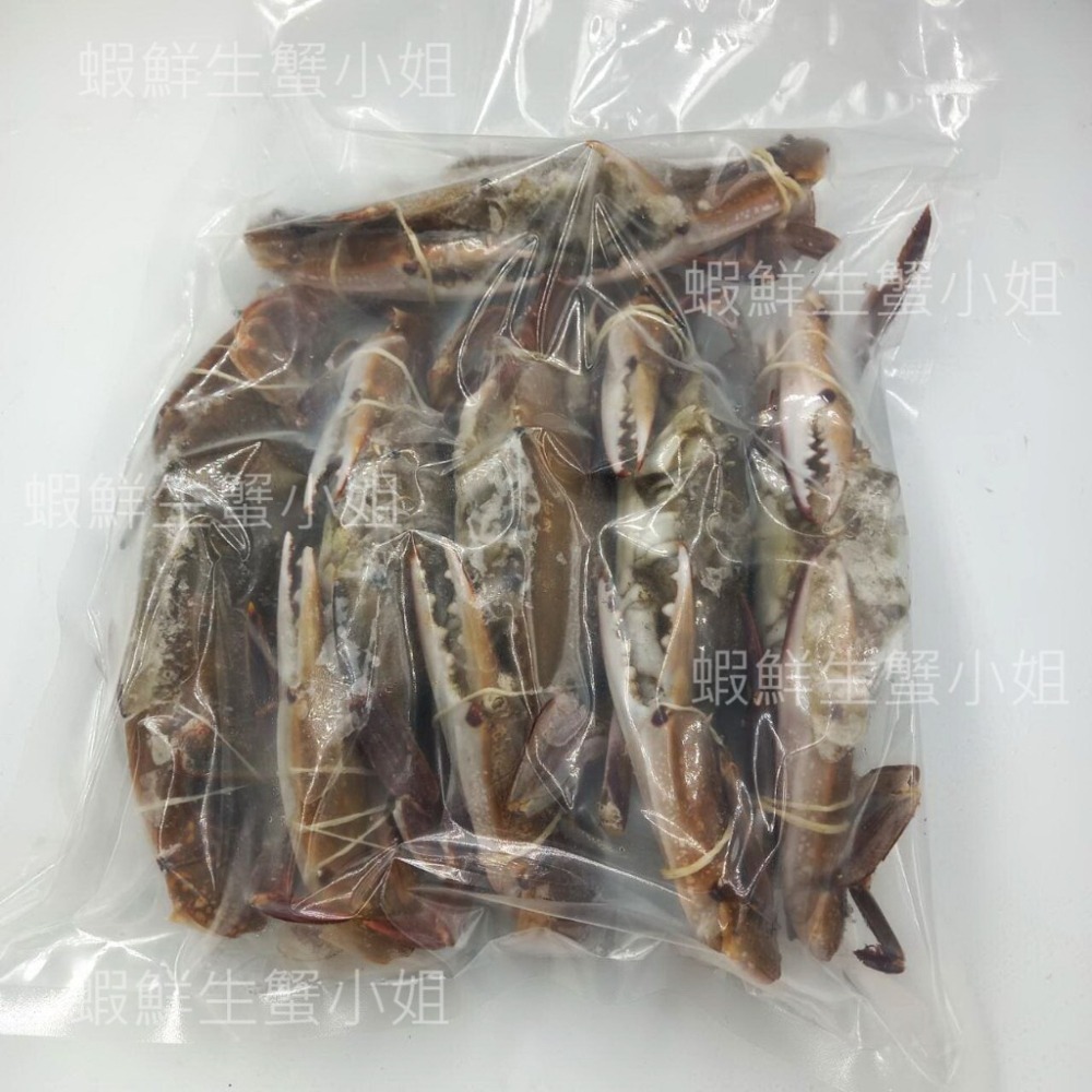 【蝦鮮生蟹小姐】三點蟹(公) 一包6隻 每隻150-200克 *隻隻飽滿,平價又美味。 **每包280元**-細節圖5