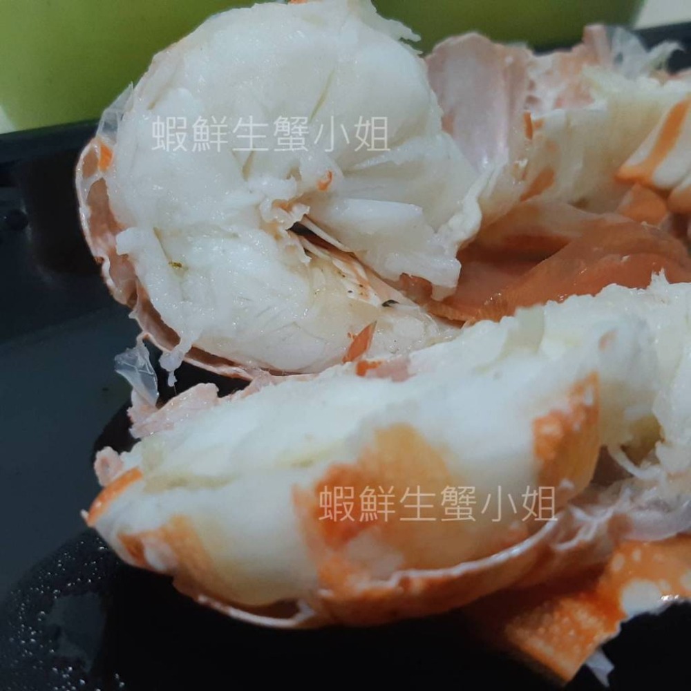 【蝦鮮生蟹小姐】生凍龍蝦 300-350g/隻 👍殼薄肉多的龍蝦，美味極佳！**單隻460元**-細節圖4