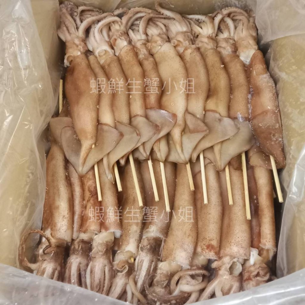 【蝦鮮生蟹小姐】魷魚串 M170-200g/隻 一箱60隻裝  *免運！ **每箱4320元**-細節圖2