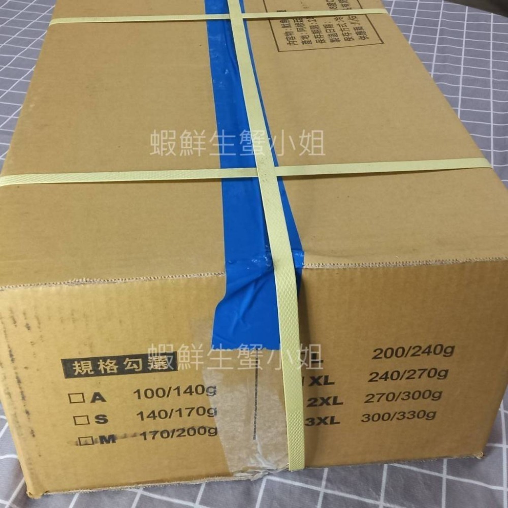 【蝦鮮生蟹小姐】魷魚串 M170-200g/隻 一箱60隻裝  *免運！ **每箱4320元**-細節圖4