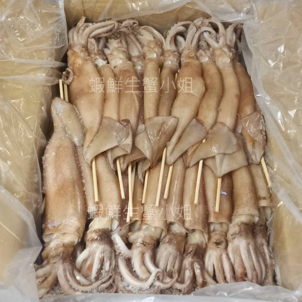 【蝦鮮生蟹小姐】魷魚串 L 200-240g/隻 一箱60隻裝  *免運！ **每箱4620元**-細節圖2