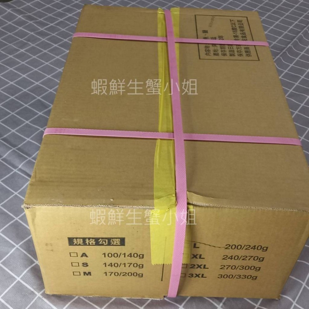 【蝦鮮生蟹小姐】魷魚串 L 200-240g/隻 一箱60隻裝  *免運！ **每箱4620元**-細節圖4