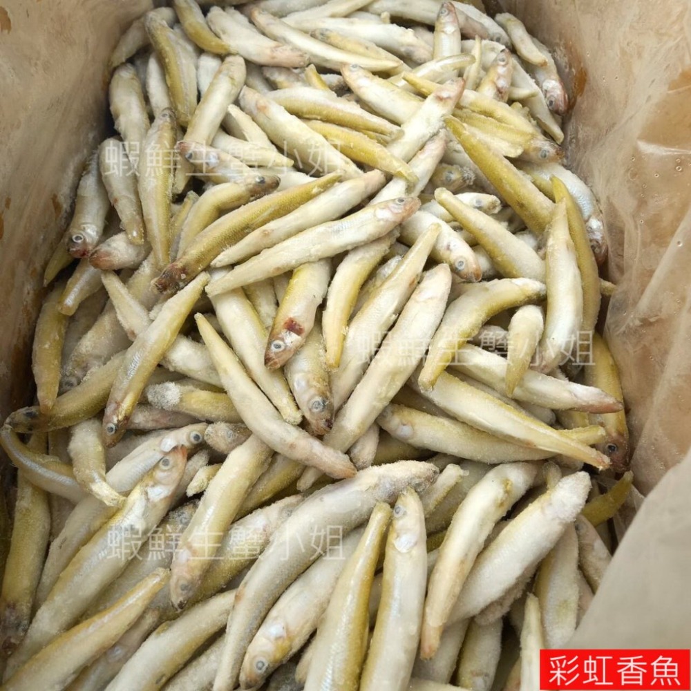 【蝦鮮生蟹小姐】彩虹香魚  1公斤/包   ★彩虹香魚營養豐富，含鈣質 **每包240元**-細節圖5