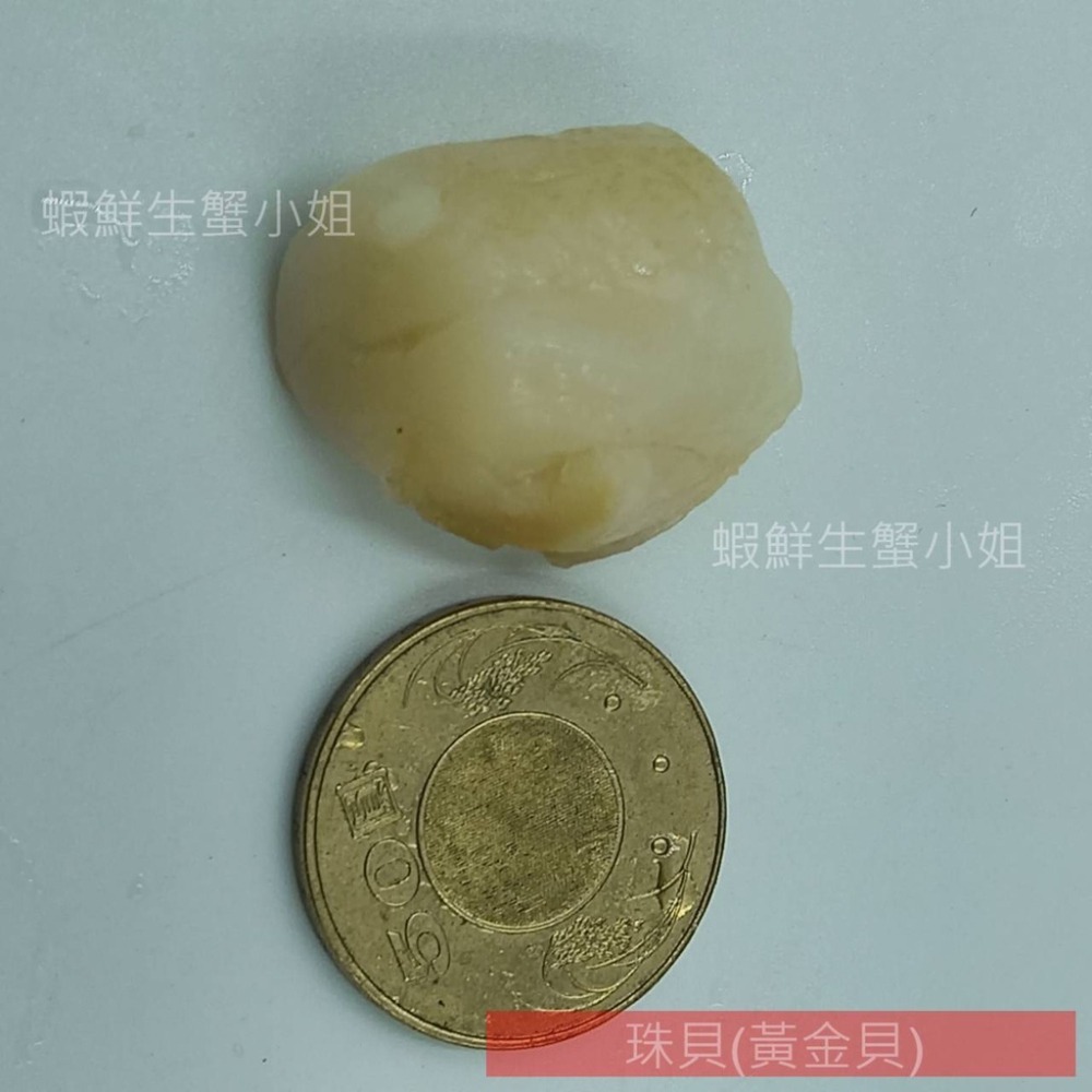 【蝦鮮生蟹小姐】珠貝(黃金貝)  60/80  1公斤/包 **封存干貝鮮甜滋味，無敵好吃 **單包380元**-細節圖4