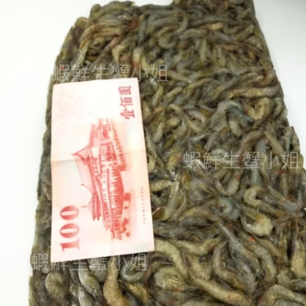 【蝦鮮生蟹小姐】欣海豐活凍白蝦-咪咪  一盒600克裝    *口感彈牙、鮮甜無比！ **每盒160元**-細節圖2