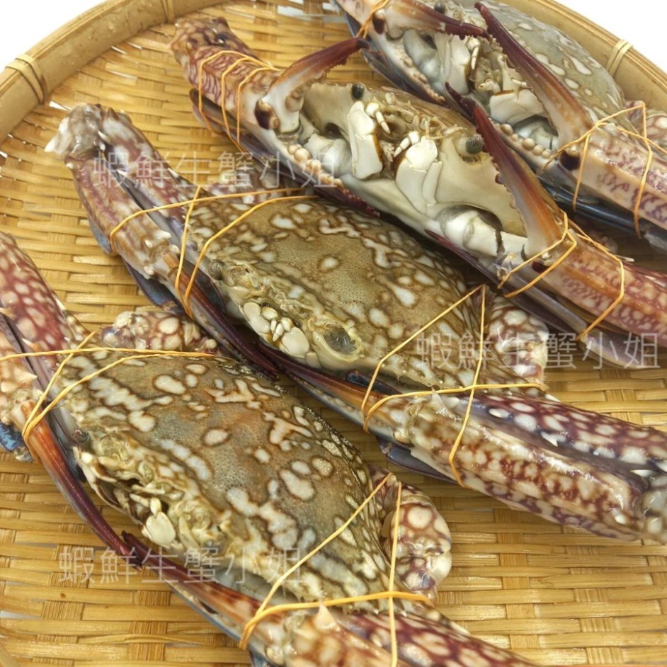 【蝦鮮生蟹小姐】冷凍花蟹-公250克上  4隻/包  約1公斤/包  *肉質鮮甜飽滿！ **每包540元**-細節圖2