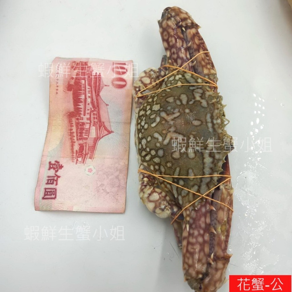 【蝦鮮生蟹小姐】冷凍花蟹-公250克上  4隻/包  約1公斤/包  *肉質鮮甜飽滿！ **每包540元**-細節圖3