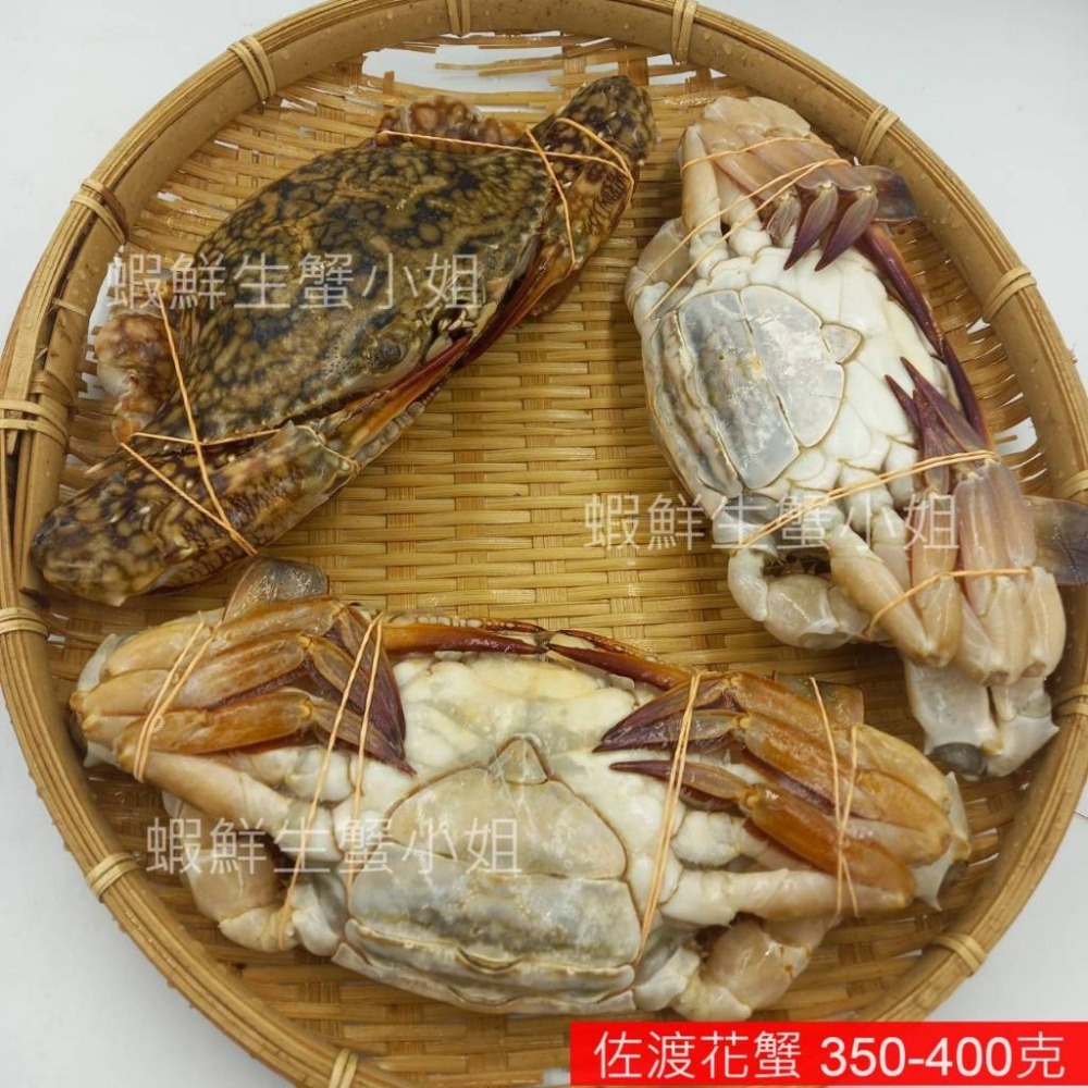 【蝦鮮生蟹小姐】佐渡花蟹(母)  1050克上/包 3隻入  *可清蒸或做鍋物料理! **每包630元**-細節圖4