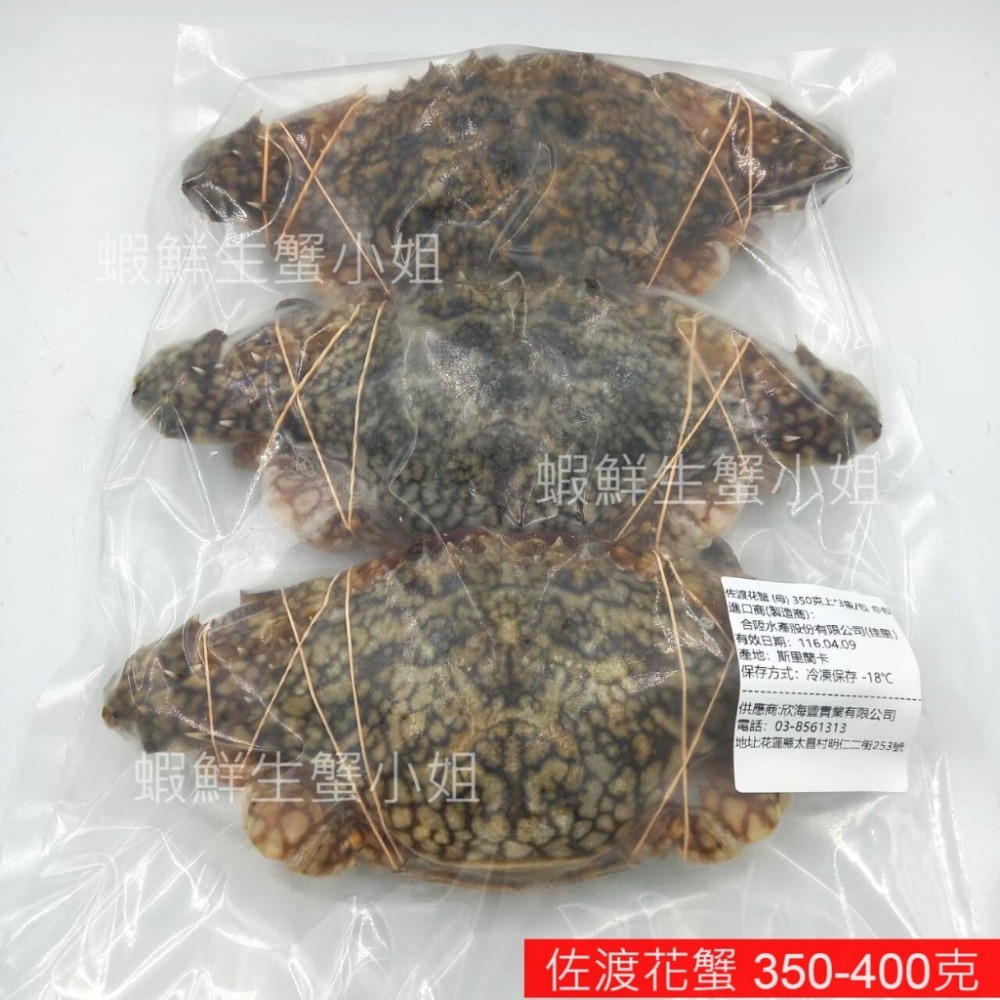 【蝦鮮生蟹小姐】佐渡花蟹(母)  1050克上/包 3隻入  *可清蒸或做鍋物料理! **每包630元**-細節圖5
