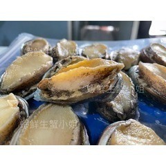 【蝦鮮生蟹小姐】去肚帶殼鮑魚  一包12粒  500克裝  * 肉質緊緻爽口新鮮彈牙   **每包400元**-細節圖4