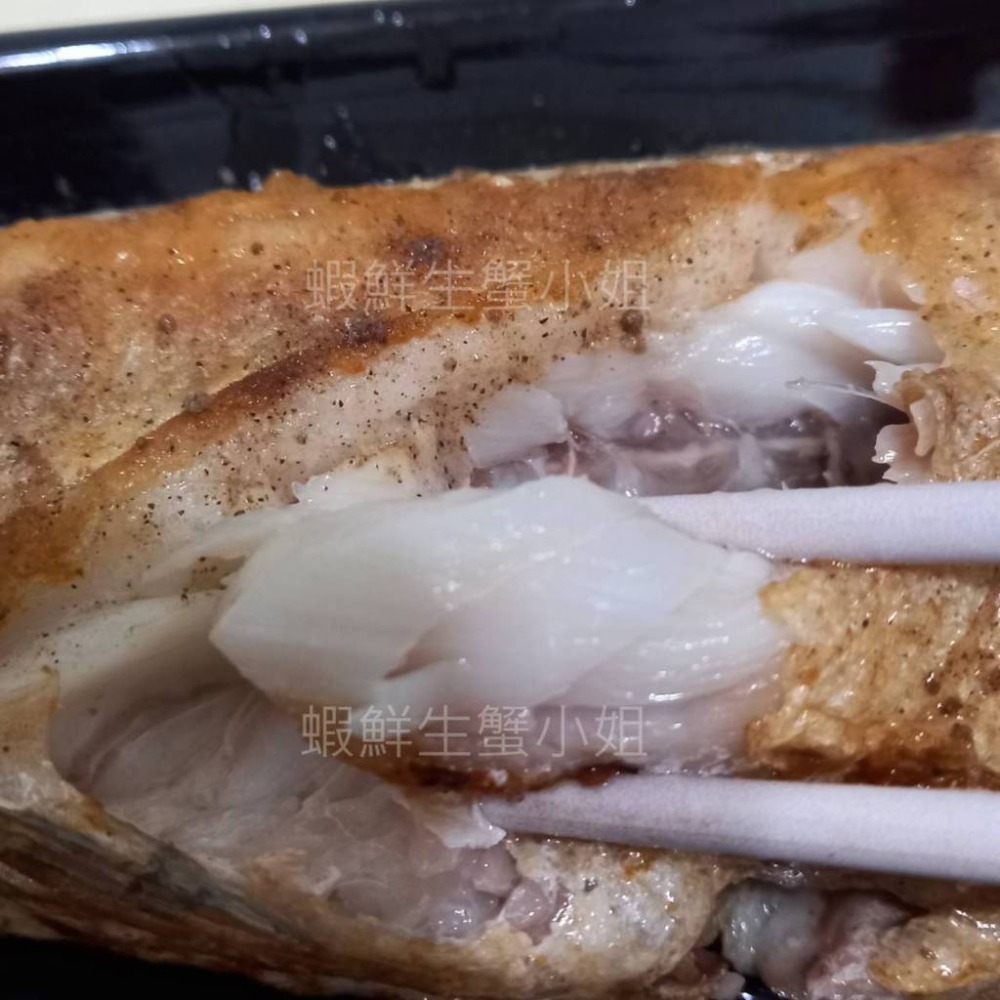 【蝦鮮生蟹小姐】馬頭魚   高價的食用魚，蛋白質含量高，肉質柔嫩鮮美-細節圖3