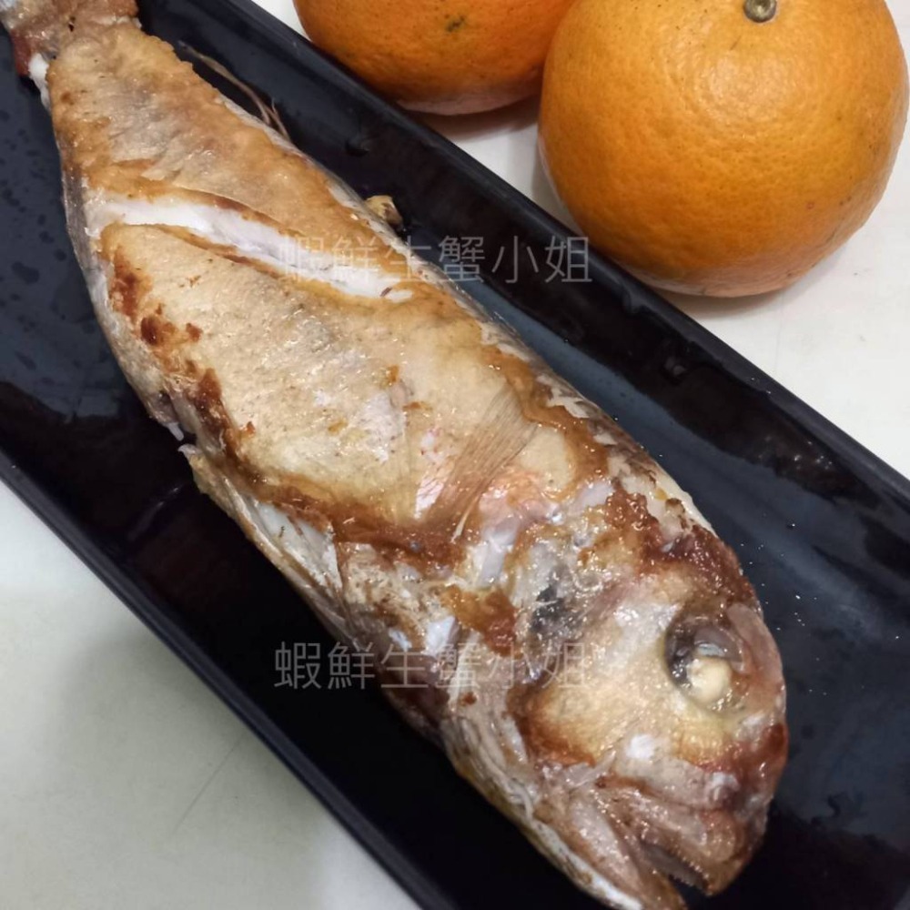 【蝦鮮生蟹小姐】馬頭魚   高價的食用魚，蛋白質含量高，肉質柔嫩鮮美-細節圖4