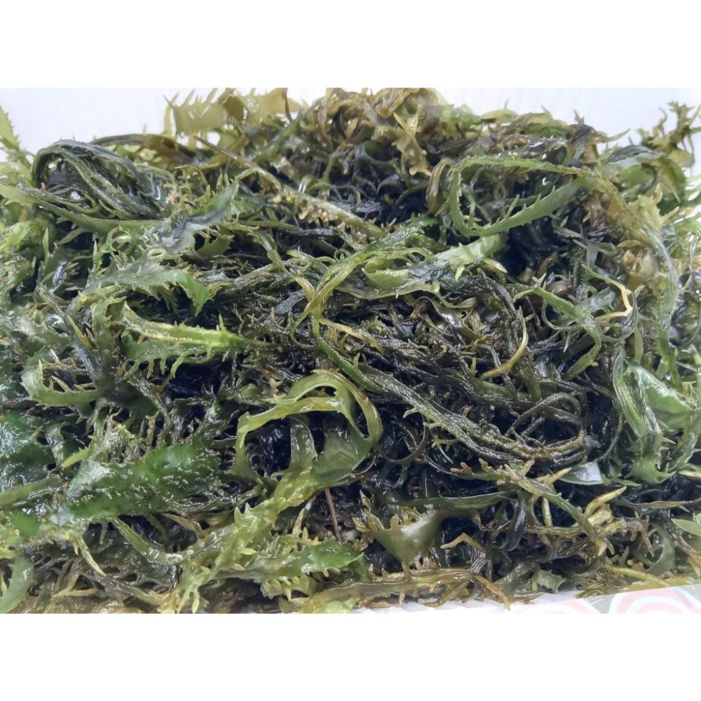 【蝦鮮生蟹小姐】鹿角菜  一盒300克    *人工摘採純天然   **每盒110元**-細節圖2