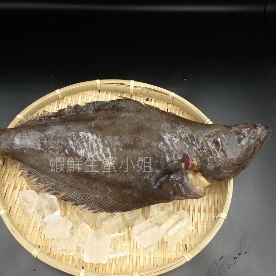 【蝦鮮生蟹小姐】整尾大比目魚(小扁鱈) 600-800克/隻  *魚肉雪白細緻，鮮嫩可口**每隻360元**-細節圖4