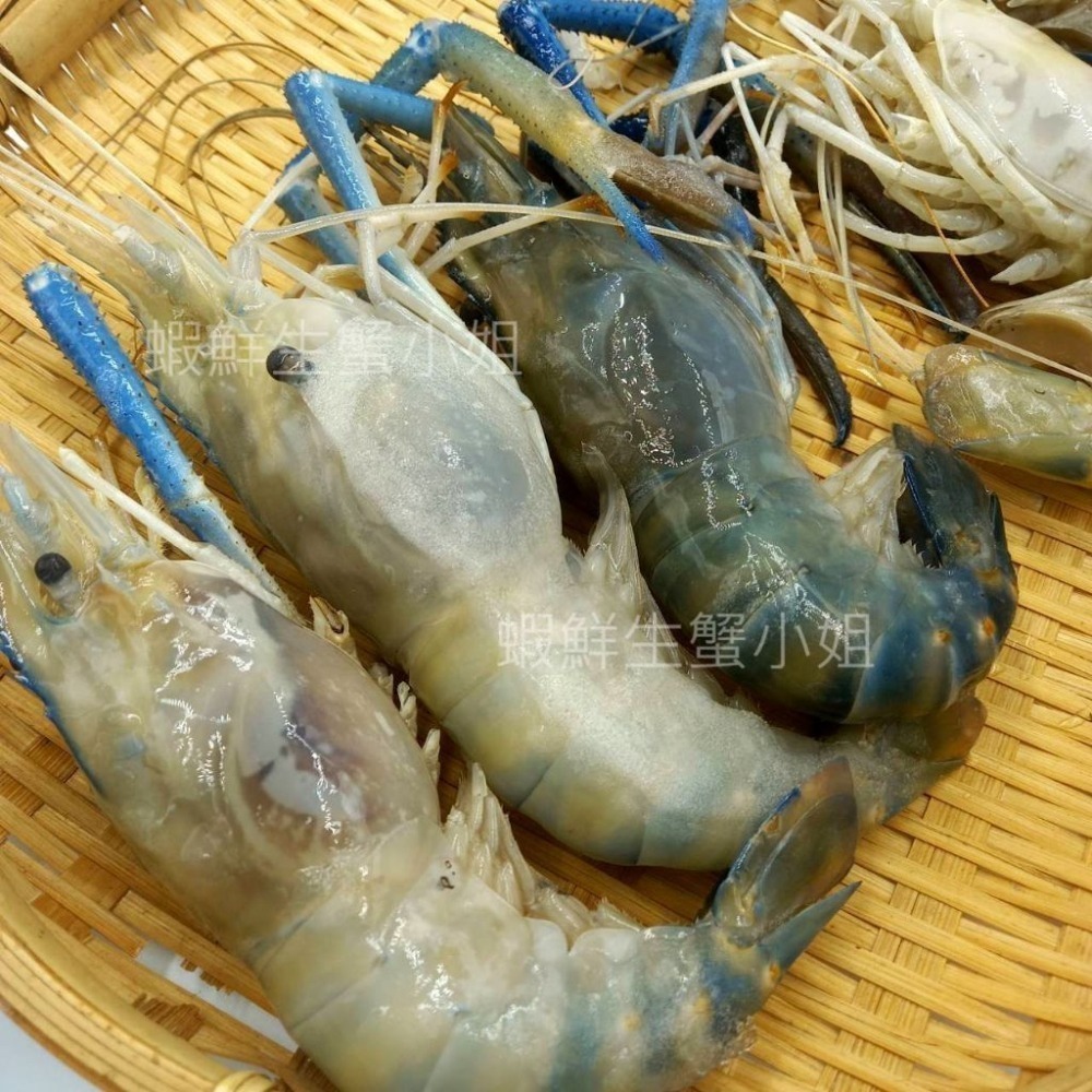 【蝦鮮生蟹小姐】凍泰國蝦 (公) 5隻裝   500克/盒 *肥美大隻,肉質彈牙 **每盒420元**-細節圖3