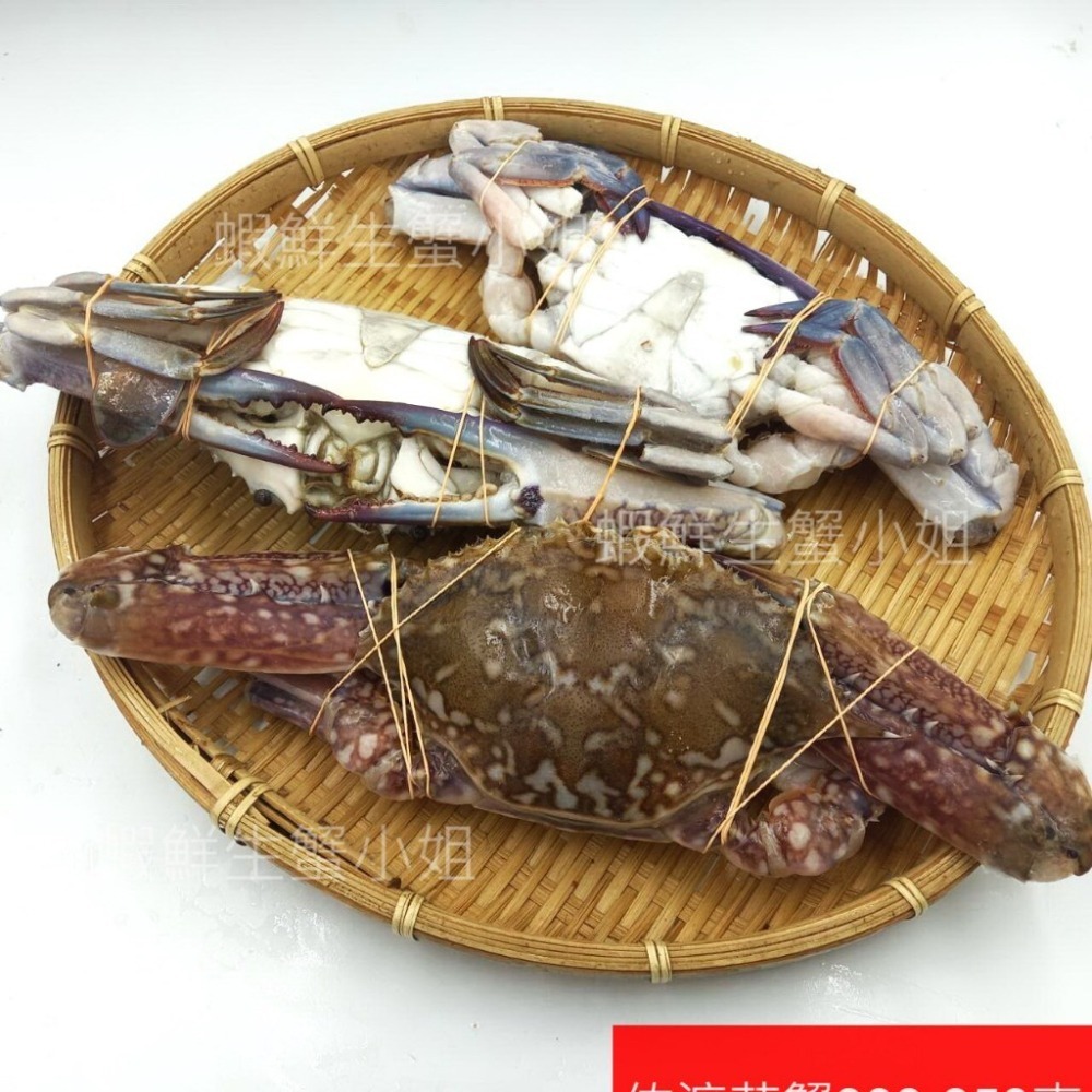 【蝦鮮生蟹小姐】佐渡花蟹(公)  900克上/包 3隻入  *可清蒸或做鍋物料理! **每包560元**-細節圖4