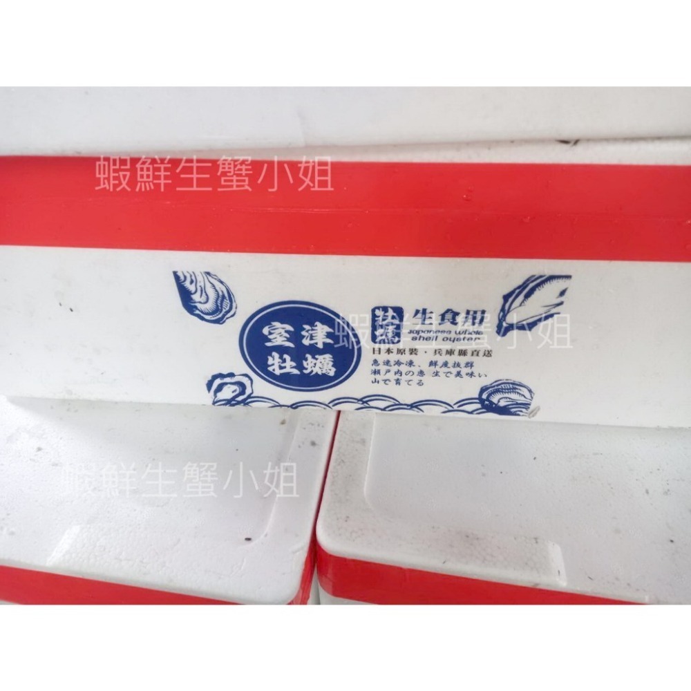 【蝦鮮生蟹小姐】全殼生蠔  80-110g  1箱10公斤(免運)   *生食級生蠔，鮮度肥度破表!! 每箱3900元-細節圖6