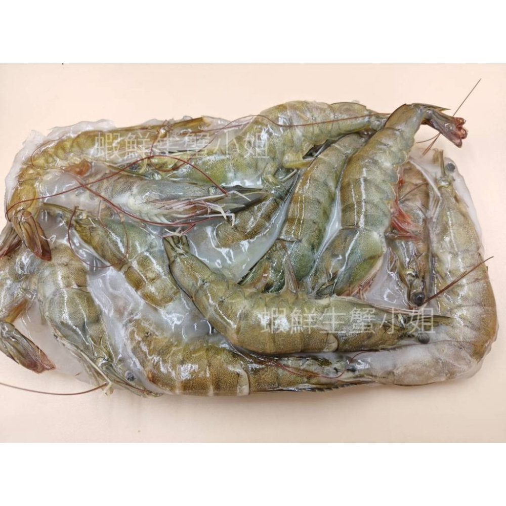 【蝦鮮生蟹小姐】活凍大白蝦 26/30  一盒12-15隻   *肉質充滿彈性又鮮甜   **每盒290元**-細節圖3