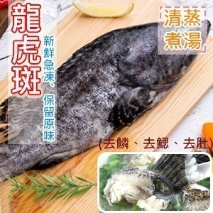 【好味市集 】現撈去鱗鰓肚急凍龍虎斑/約1台斤-細節圖2