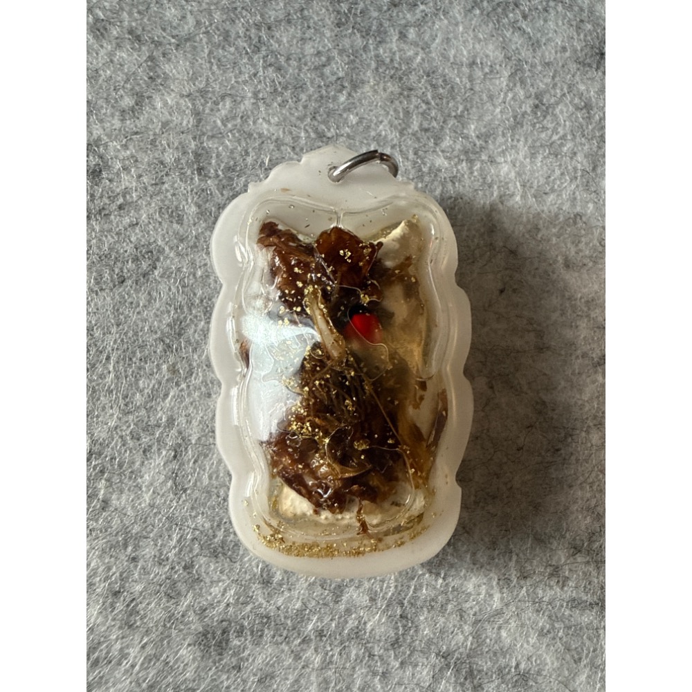 收藏多年佛牌讓供「古巴文利 咬錢鬼」-細節圖2