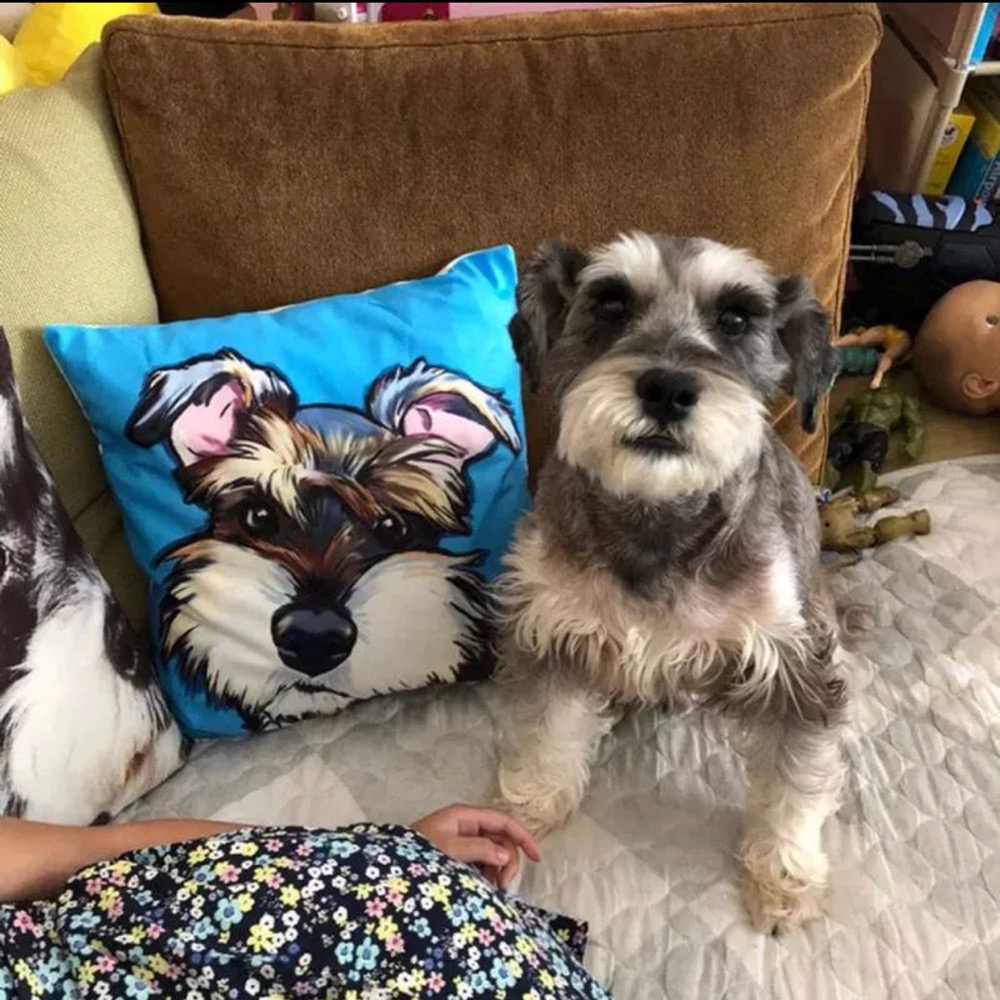 #雪納瑞靠墊抱枕#寵物狗車用靠墊#史納莎狗狗沙發靠墊#辦公室靠枕-細節圖10