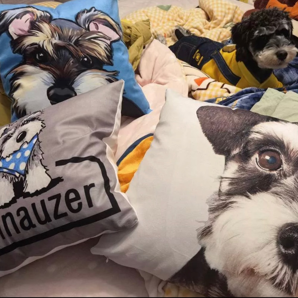 #雪納瑞靠墊抱枕#寵物狗車用靠墊#史納莎狗狗沙發靠墊#辦公室靠枕-細節圖11