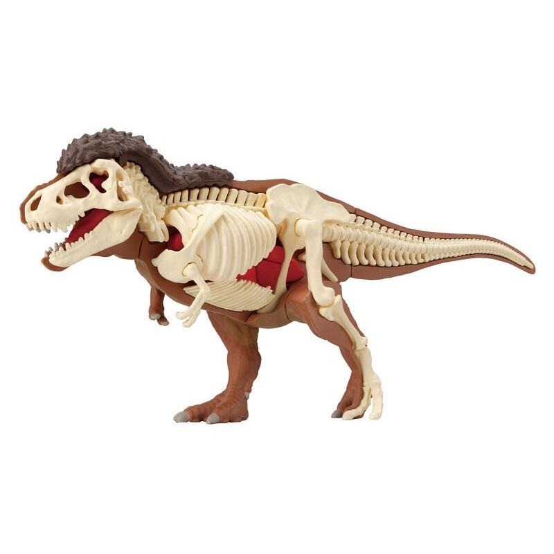 【樂GO】暴龍 MEGAHOUSE 自然科學系列 拼圖 恐龍 立體拼圖 骨骼 骷髏 正版全新-細節圖3