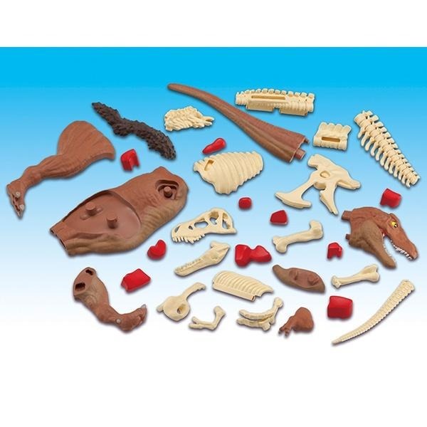 【樂GO】暴龍 MEGAHOUSE 自然科學系列 拼圖 恐龍 立體拼圖 骨骼 骷髏 正版全新-細節圖4