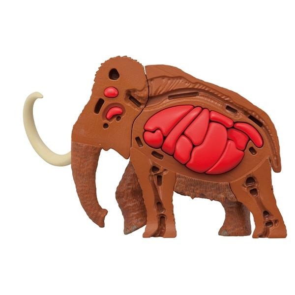 【樂GO】猛瑪象趣味拼圖 MEGAHOUSE 自然科學系列 拼圖 大象 原始象 立體拼圖 骨骼 骷髏 正版全新-細節圖4