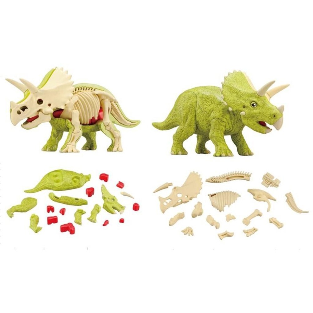 【樂GO】三角龍趣味拼圖 MEGAHOUSE 自然科學系列 拼圖 恐龍 立體拼圖 骨骼 骷髏 正版全新-細節圖4