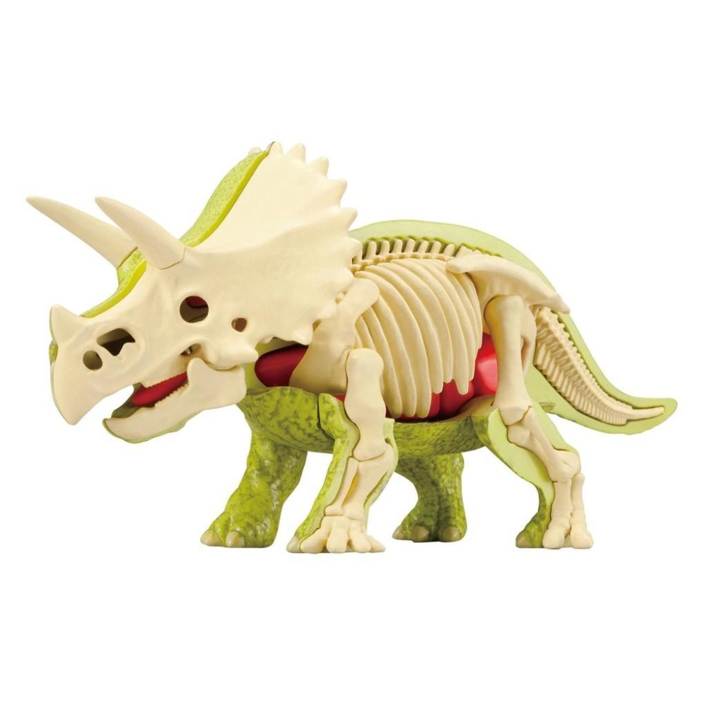 【樂GO】三角龍趣味拼圖 MEGAHOUSE 自然科學系列 拼圖 恐龍 立體拼圖 骨骼 骷髏 正版全新-細節圖5