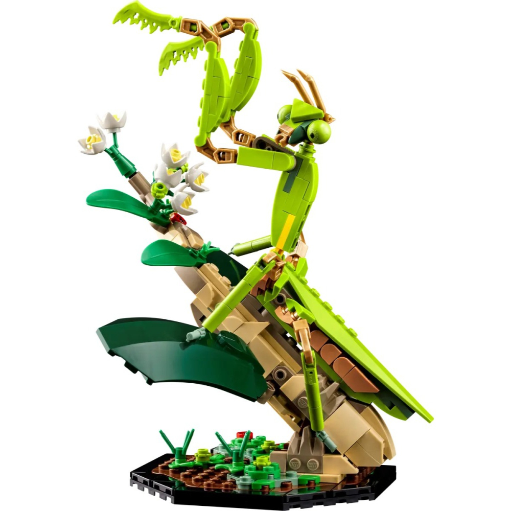 【樂GO】樂高 LEGO 21342 昆蟲 IDEAS 創意 積木 玩具 禮物 模型 樂高正版全新-細節圖4