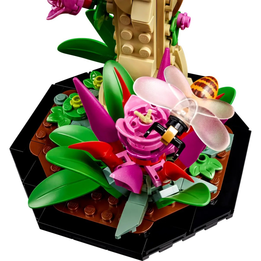 【樂GO】樂高 LEGO 21342 昆蟲 IDEAS 創意 積木 玩具 禮物 模型 樂高正版全新-細節圖6