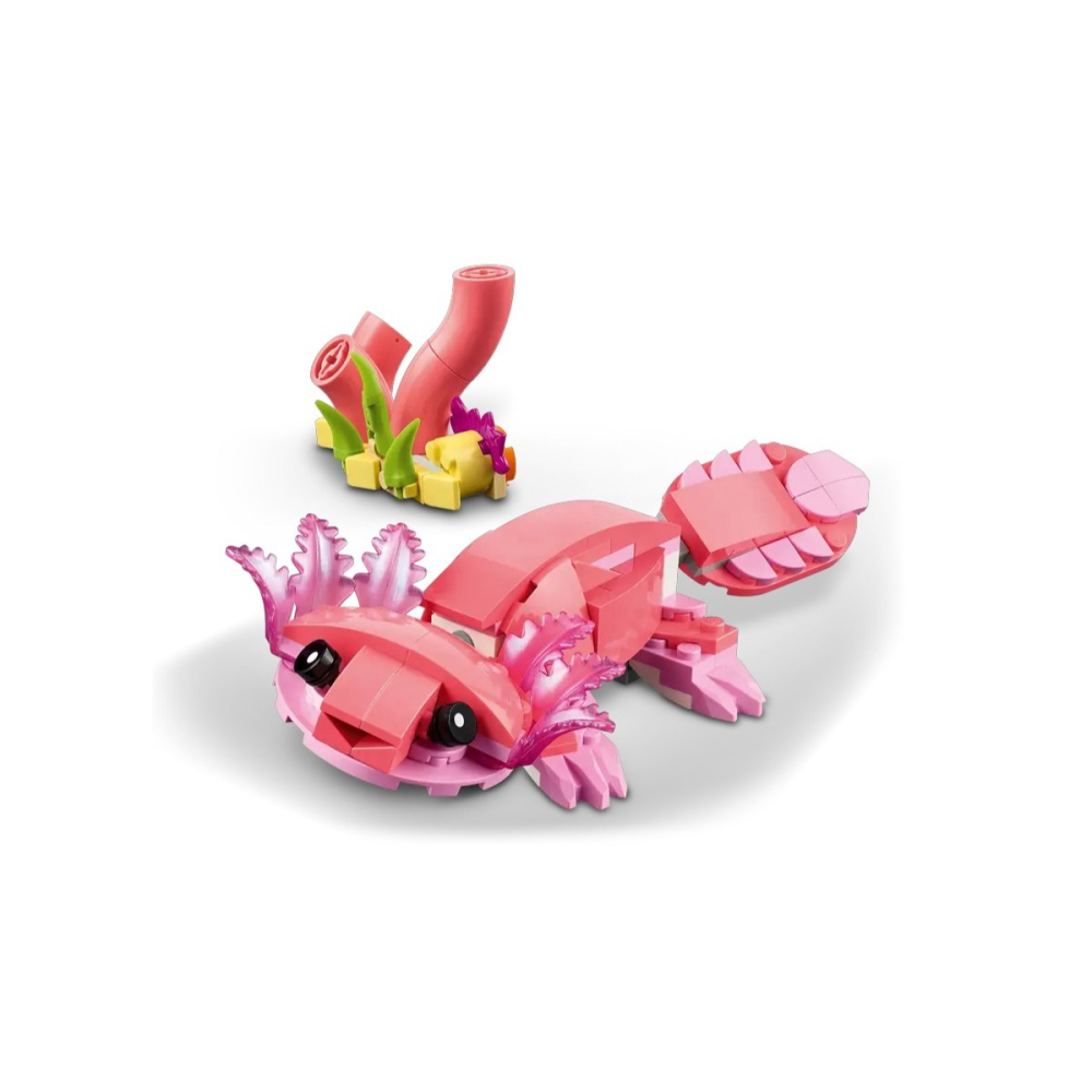 【樂GO】樂高 LEGO 31170 野生動物 粉紅紅鶴 三合一 鸚鵡 蠑螈 粉紅蠑螈 粉紅色 粉色 玩具 樂高正版全新-細節圖6