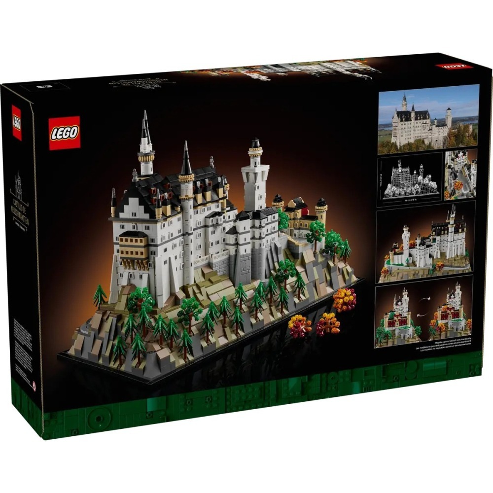 【樂GO】樂高 LEGO 21063 ARCHITECTURE 新天鵝堡 建築 地標 樂高正版-細節圖2