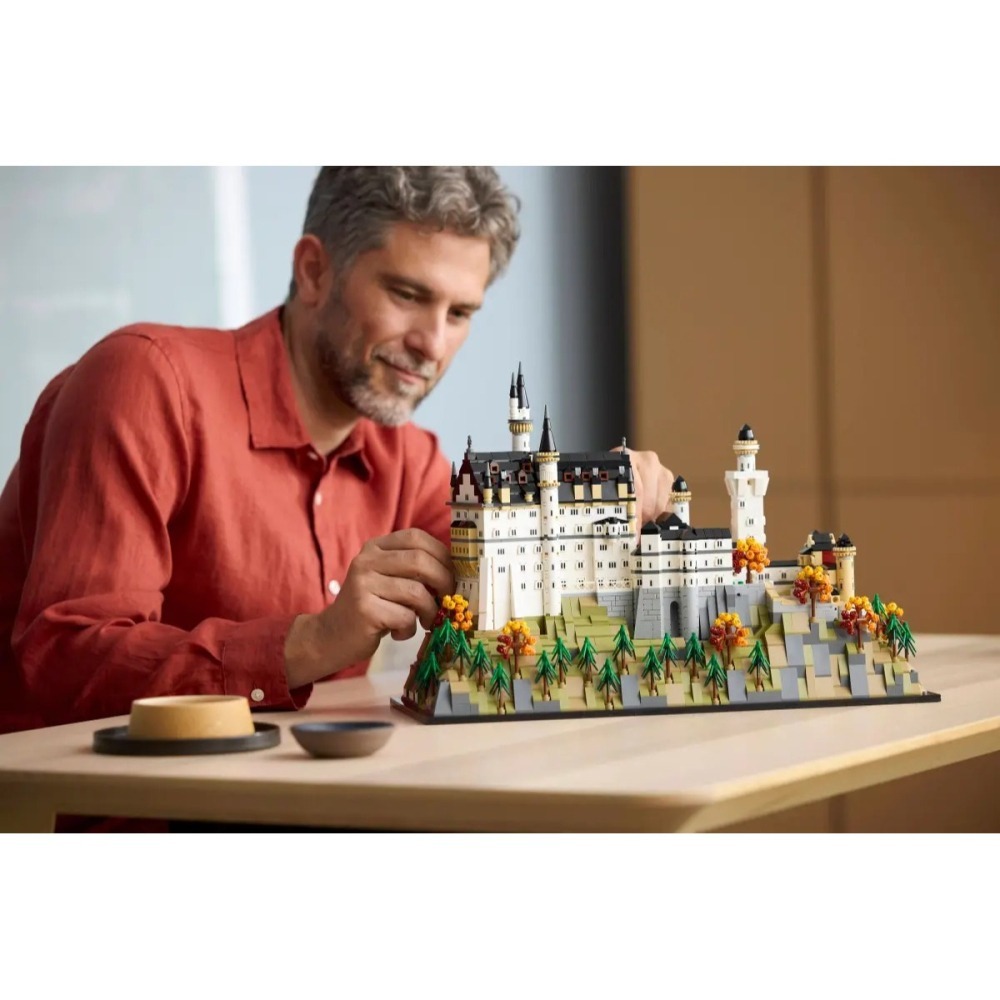 【樂GO】樂高 LEGO 21063 ARCHITECTURE 新天鵝堡 建築 地標 樂高正版-細節圖9