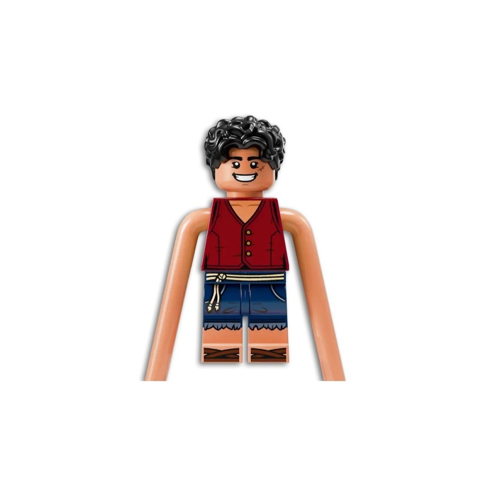 【樂GO】樂高 LEGO 75638 ONE PIECE 惡龍樂園之戰 海賊王 樂高正版-細節圖6